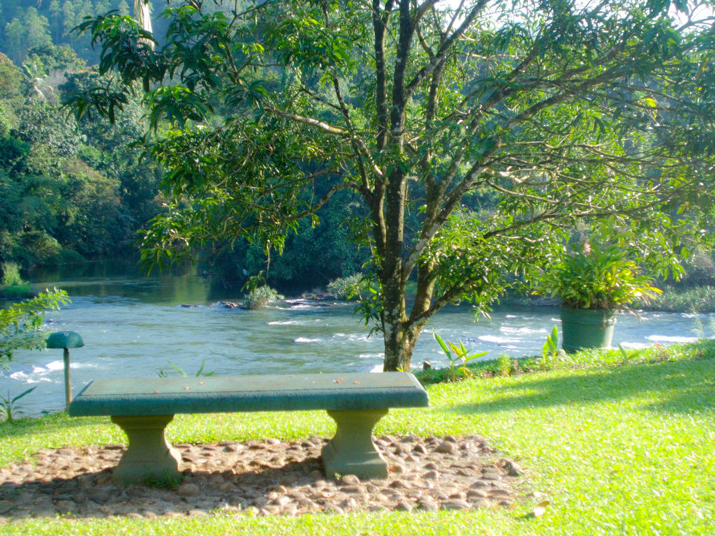Kithulgala Rest House Kitulgala Exterior foto